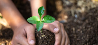 climate investing