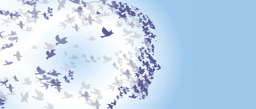 T9_Flock-of-birds